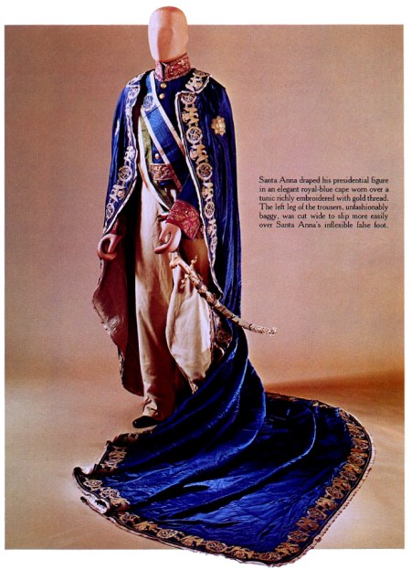 Santa Anna's Presidential Robe